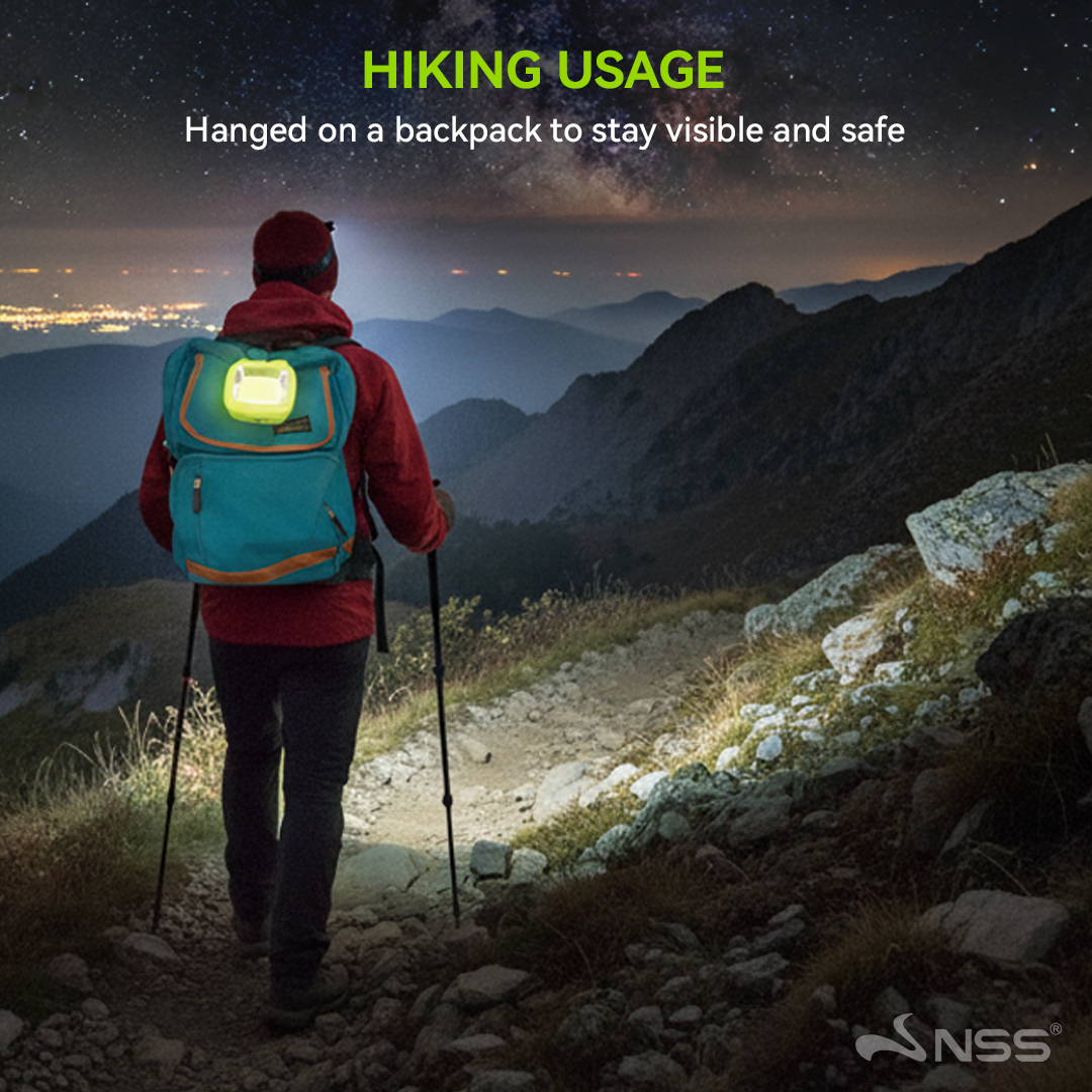 NSS Portable Emergency Solar Light with Powerbank