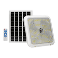 NSS Solar Ceiling Lights 100W- 800W